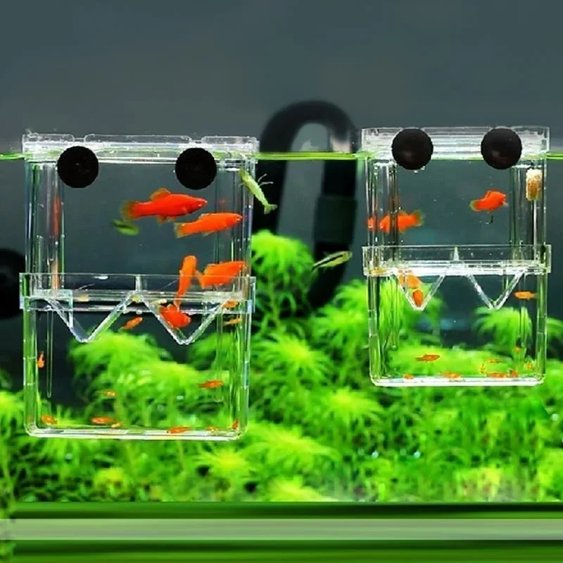 Çok Fonksiyonlu Balık Akvaryum - Lab Incubator incelemesi ve fiyatı